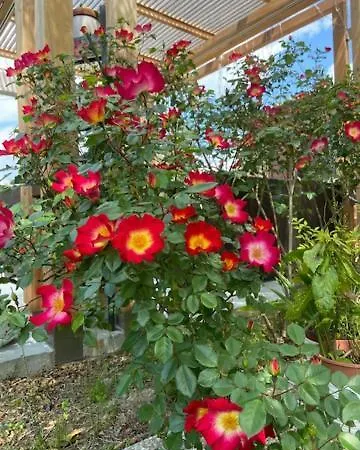 Casale Del Sole *