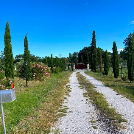 Bed and breakfast Casale Del Sole Castellina Marittima